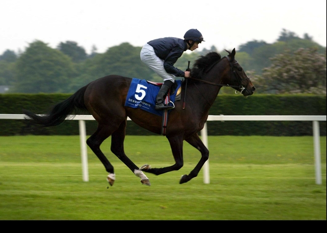 Fallon aboard Aidan O'Brien's Yeat
