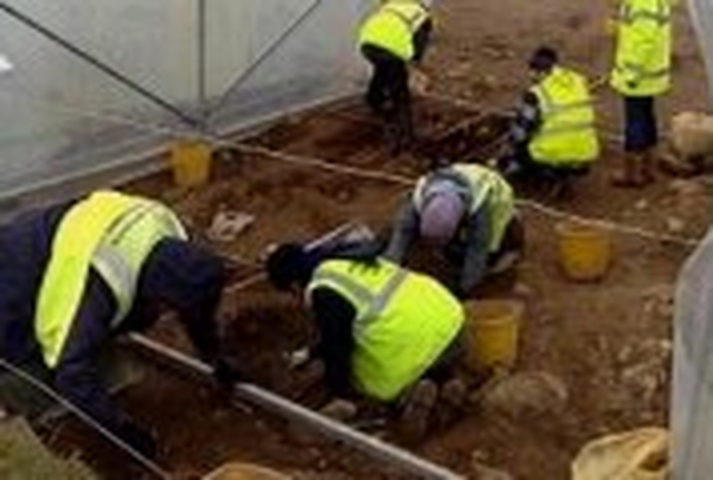 M7 motorway - Archaeologists at the site M7 motorway - Archaeologists at the site