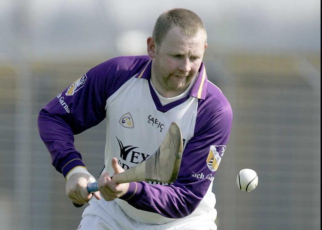 Wexford goalkeeper Damien Fitzhenry