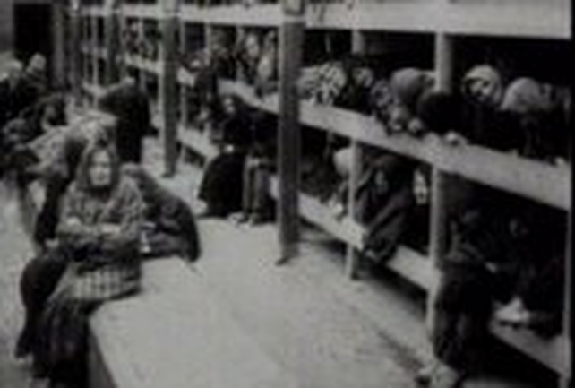 Holocaust - British historian given three-year sentence for denial Holocaust - British historian given three-year sentence for denial