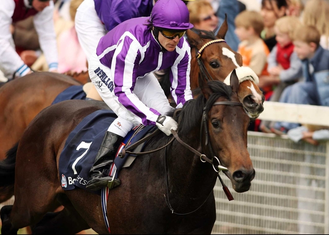 Eagle Mountain dominated the Hong Kong Cup