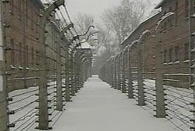 Auschwitz-Birkenau - Anniversary of liberation Auschwitz-Birkenau - Anniversary of liberation