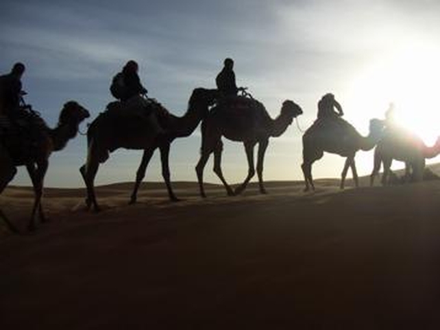 Camel Cosmetics? - A camel dairy farmer in Mauritania hopes to market camel milk lotion in Europe - Photo credit: Kathy Beight Camel Cosmetics? - A camel dairy farmer in Mauritania hopes to market camel milk lotion in Europe - Photo credit: Kathy Beight