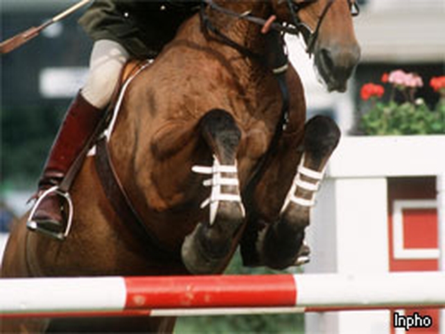 Ireland recorded three clear rounds in Zagreb