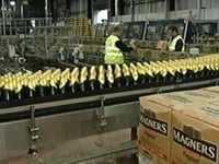 C&C on track despite tougher trading C&C on track despite tougher trading