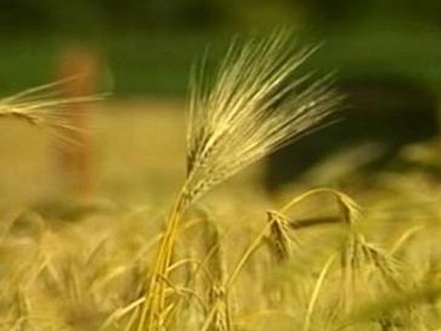 Biofuels - Labour urging caution on over-reliance Biofuels - Labour urging caution on over-reliance