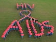 What progress has been made in fighting the AIDS epidemic at home and abroad?... Della Kilroy investigates