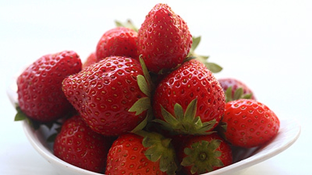 Fruit Sabayon Fruit Sabayon