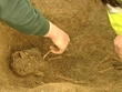 A new bog body found in Meath