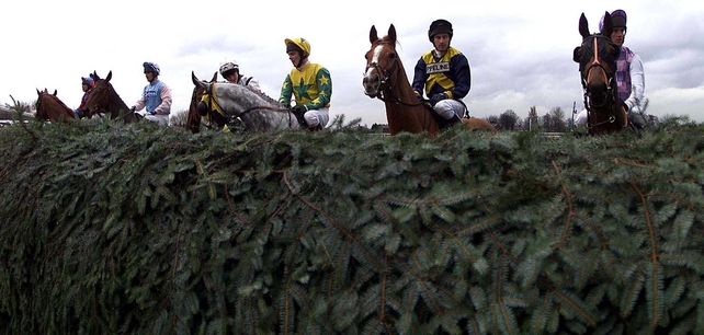 Thankfully, there were no fatalities in this year's Grand National
