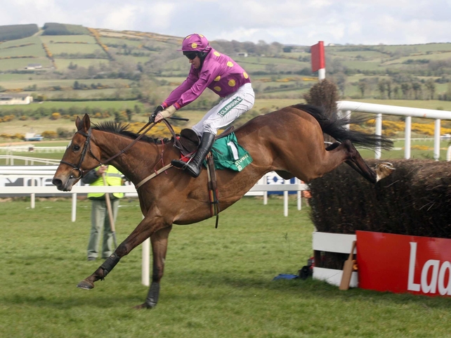 Big Zeb is back in the Champion Chase picture