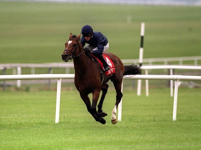 Galileo is on the mend after suffering a bout of colic at Coolmore Stud