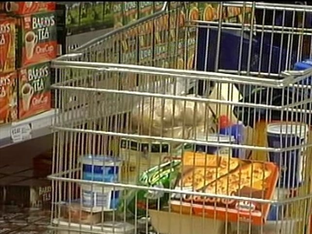 Food - Prices up 8% in 12 months Food - Prices up 8% in 12 months