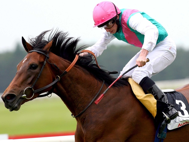 The team at Freemason Lodge could have another star to look forward to