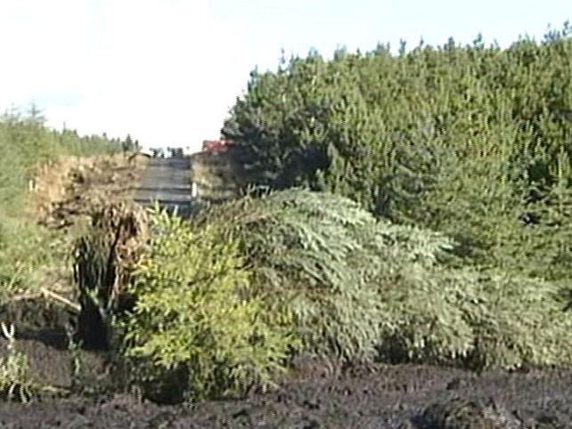 Derrybrien - Landslide killed 50,000 fish Derrybrien - Landslide killed 50,000 fish