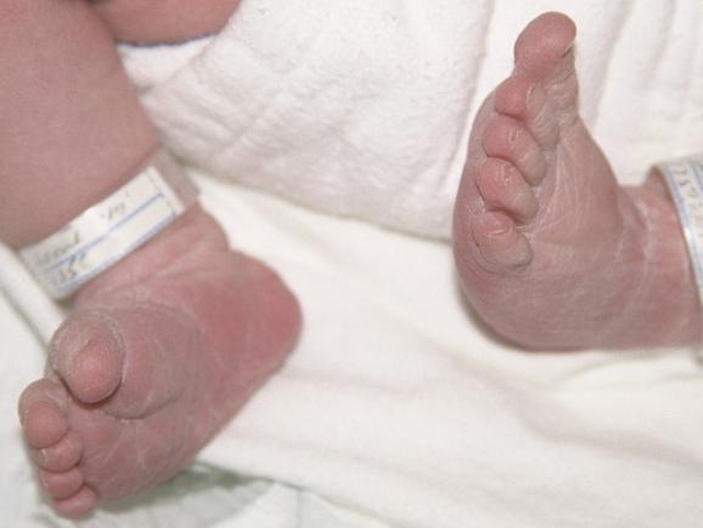 Births - 18,792 births registered in the third quarter of 2008 Births - 18,792 births registered in the third quarter of 2008