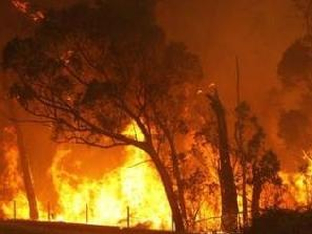 Wildfires - At least 84 killed Wildfires - At least 84 killed