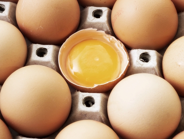 Egg Attack - Only innocent eggs were harmed in the attack on that building Egg Attack - Only innocent eggs were harmed in the attack on that building