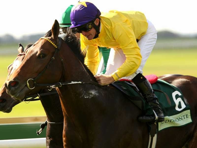 Sea the Stars delivered in a finish dominated by Irish-trained horses
