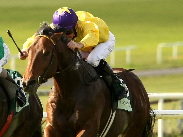 Sea The Stars has been rerouted to Sandown