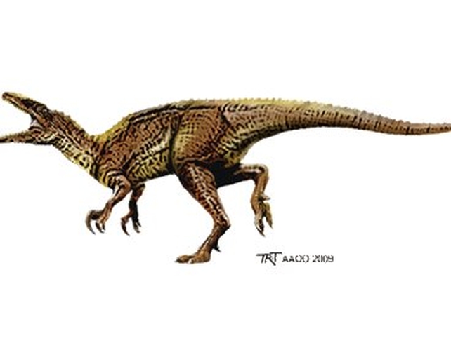 'Banjo' - Meat-eating theropod dinosaur 'Banjo' - Meat-eating theropod dinosaur