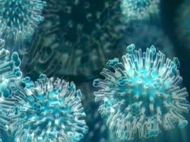 Swine flu - Two dead, 62 hospitalised in Ireland Swine flu - Two dead, 62 hospitalised in Ireland