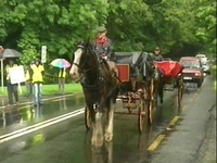 Killarney jarveys lose High Court challenge Killarney jarveys lose High Court challenge