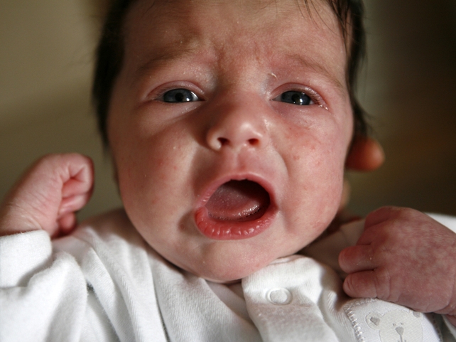 Birth rate - Largest number of births registered since 1980 Birth rate - Largest number of births registered since 1980