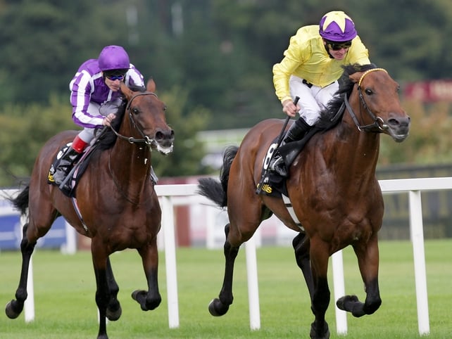 Sea The Stars moves clear of Fame And Glory en route to victory in the Irish Champion Stakes at Leopardstown in September
