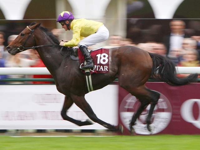The ratings boys drooled over Sea The Stars' annihilation of Fame And Glory and Mastercraftsman in the Irish Champion Stakes