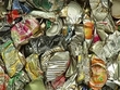 Litter On Beaches