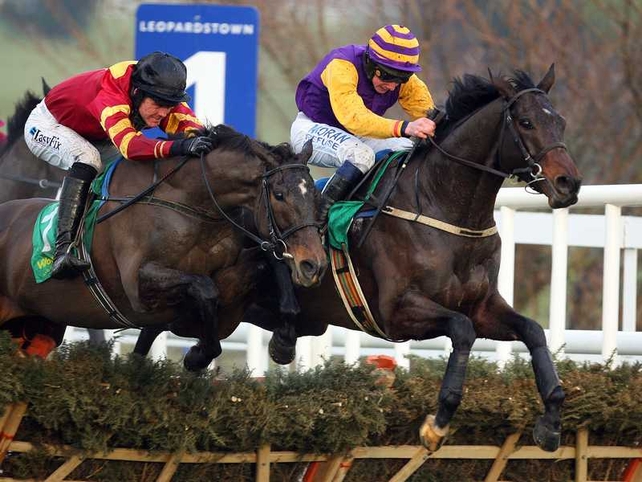Noble Prince (left) is poised to rin in one of the big handicap hurdles at Cheltenham