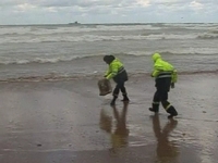 Black boxes from crashed Ethiopian jet found Black boxes from crashed Ethiopian jet found