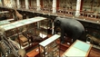 Future of the National Museum