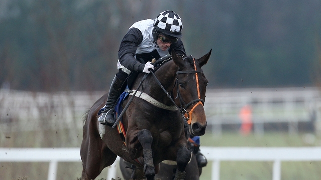 Dunguib - will head for the Punchestown Festival next month