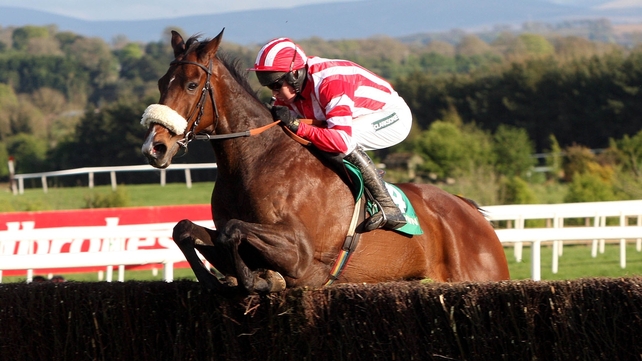 Forpadydeplasterer will see action twice in Ireland before the John Smith's Grand National