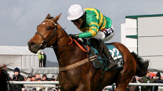 Binocular was a winner at Cheltenham in 2010