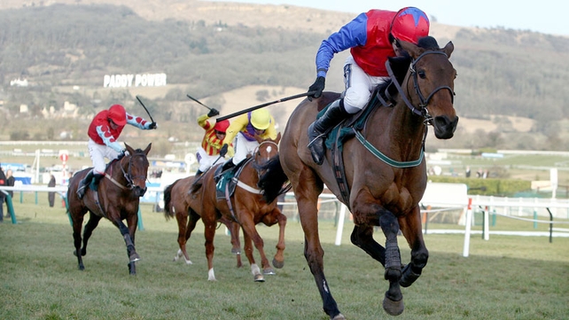 Quevega will aim to be coming up the Cheltenham hill in front again on 12 March
