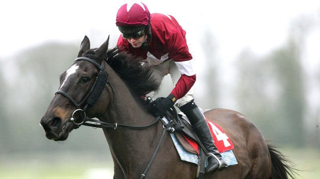 War Of Attrition, who won the 2006 Gold Cup for Mouse Morris, is a full brother to Pencilhimin, who made a winning start today