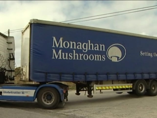 Belmullet - Monaghan Mushrooms plans to close in summer Belmullet - Monaghan Mushrooms plans to close in summer