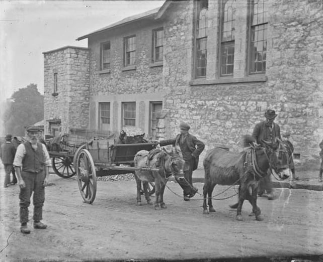 Donkeys - National Library of Ireland - Clarke Collection Donkeys - National Library of Ireland - Clarke Collection