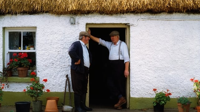Heritage Council's grant programme has suffered cuts since 2008 Heritage Council's grant programme has suffered cuts since 2008