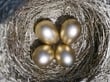 Pensions