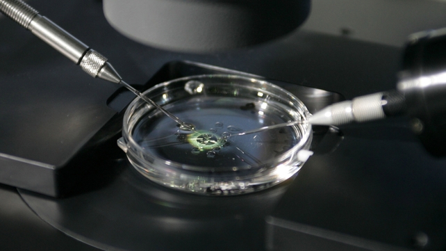 IVF costs up to £5,000 in British fertility clinics IVF costs up to £5,000 in British fertility clinics