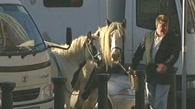 Smithfield Horse Fair - Tradition dates back hundreds of years Smithfield Horse Fair - Tradition dates back hundreds of years