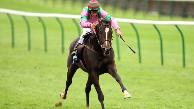 Dream Ahead's pedigree and physique suggest his best chances as a three-year-old will lie in soft-ground sprints
