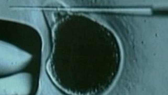 Scientists successfully used skin to generate embryonic stem cells Scientists successfully used skin to generate embryonic stem cells