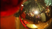Police confiscate marijuana Christmas tree Police confiscate marijuana Christmas tree