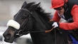 Jockey Injuries - AP McCoy