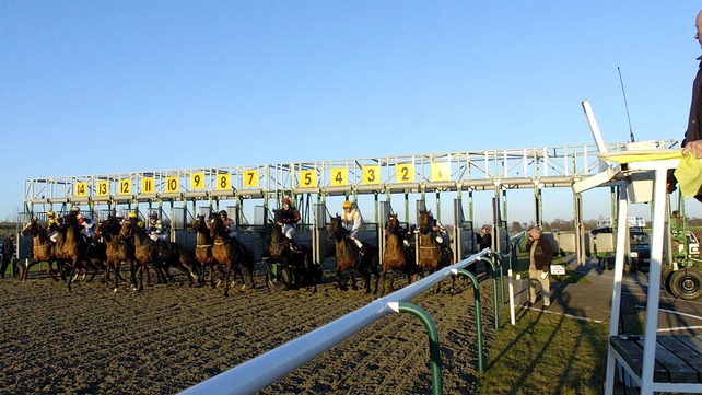 Martin Harley suffered the fall at Lingfield
